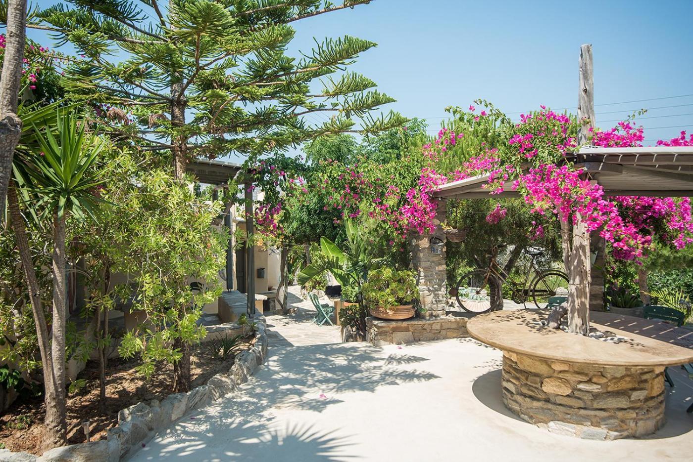 Ανθίππη Aparthotel Πάρος Εξωτερικό φωτογραφία